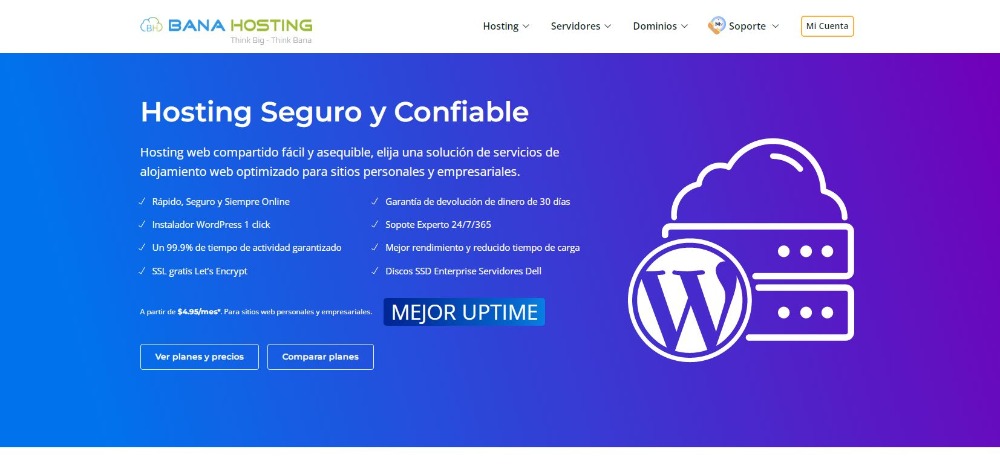 BanaHosting-Chile